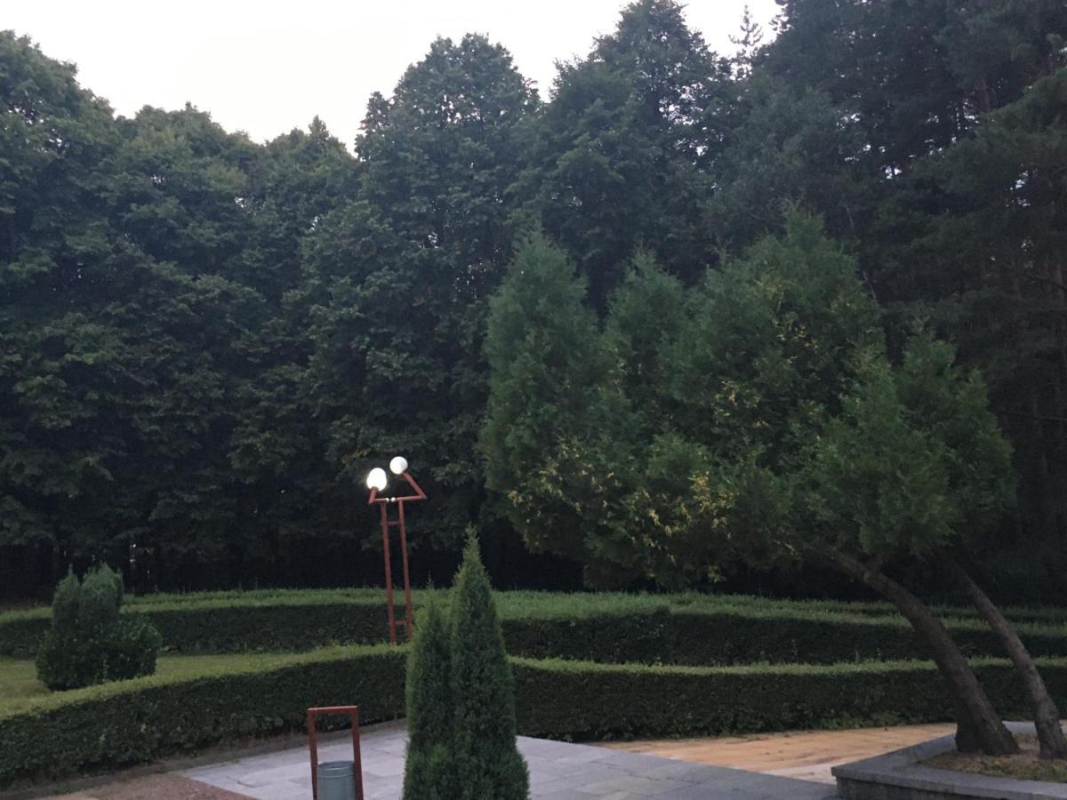 Пд Енерго - Вила Електра Dupnitsa Exterior photo
