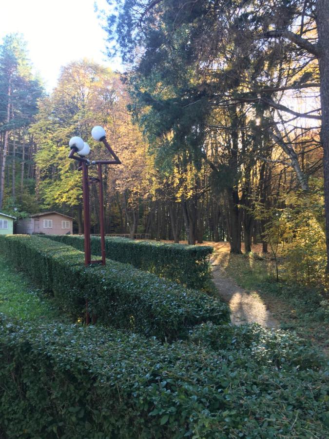Пд Енерго - Вила Електра Dupnitsa Exterior photo