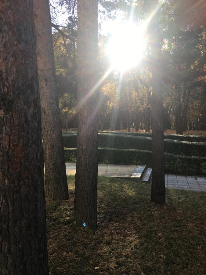 Пд Енерго - Вила Електра Dupnitsa Exterior photo
